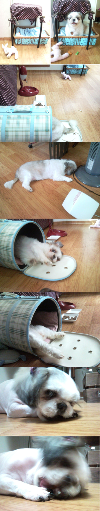 우주소식이에요..^^