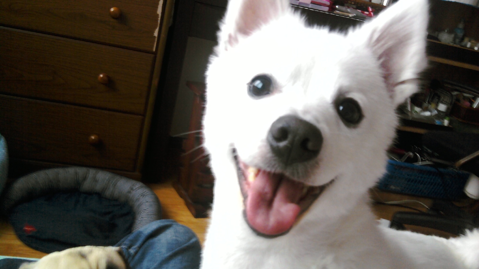 쭌쭌쭈루쭈루쭌쭌쭈운 ♥