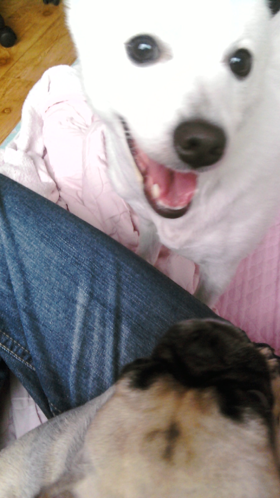 쭌쭌쭈루쭈루쭌쭌쭈운 ♥