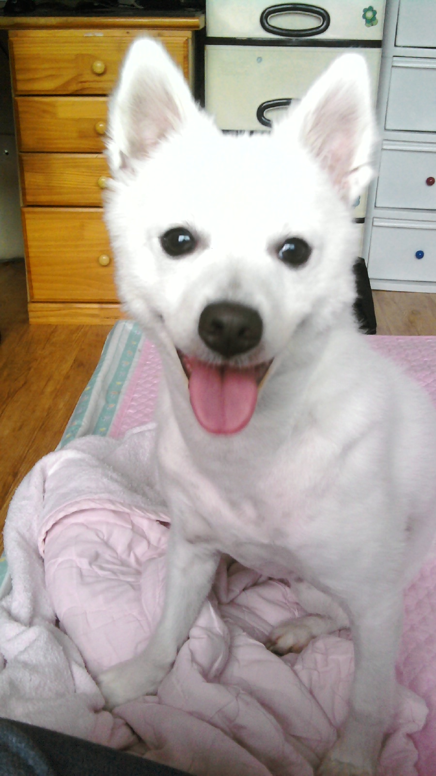 쭌쭌쭈루쭈루쭌쭌쭈운 ♥