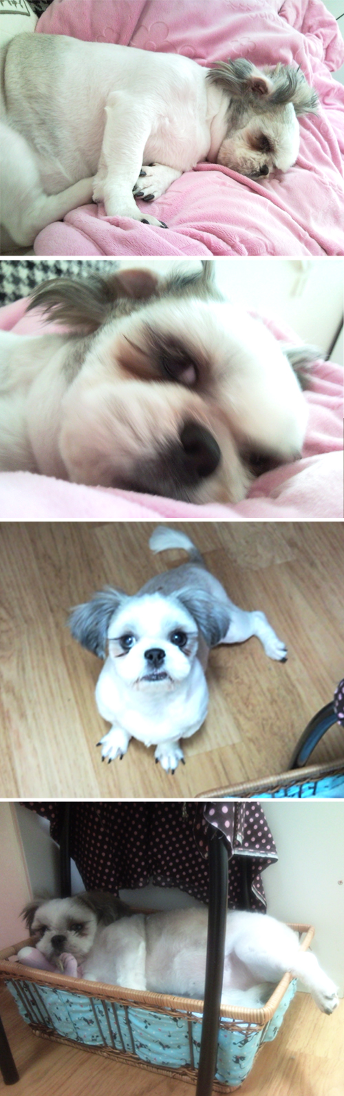 (임보)속눈썹공주 우주소식..^^ 