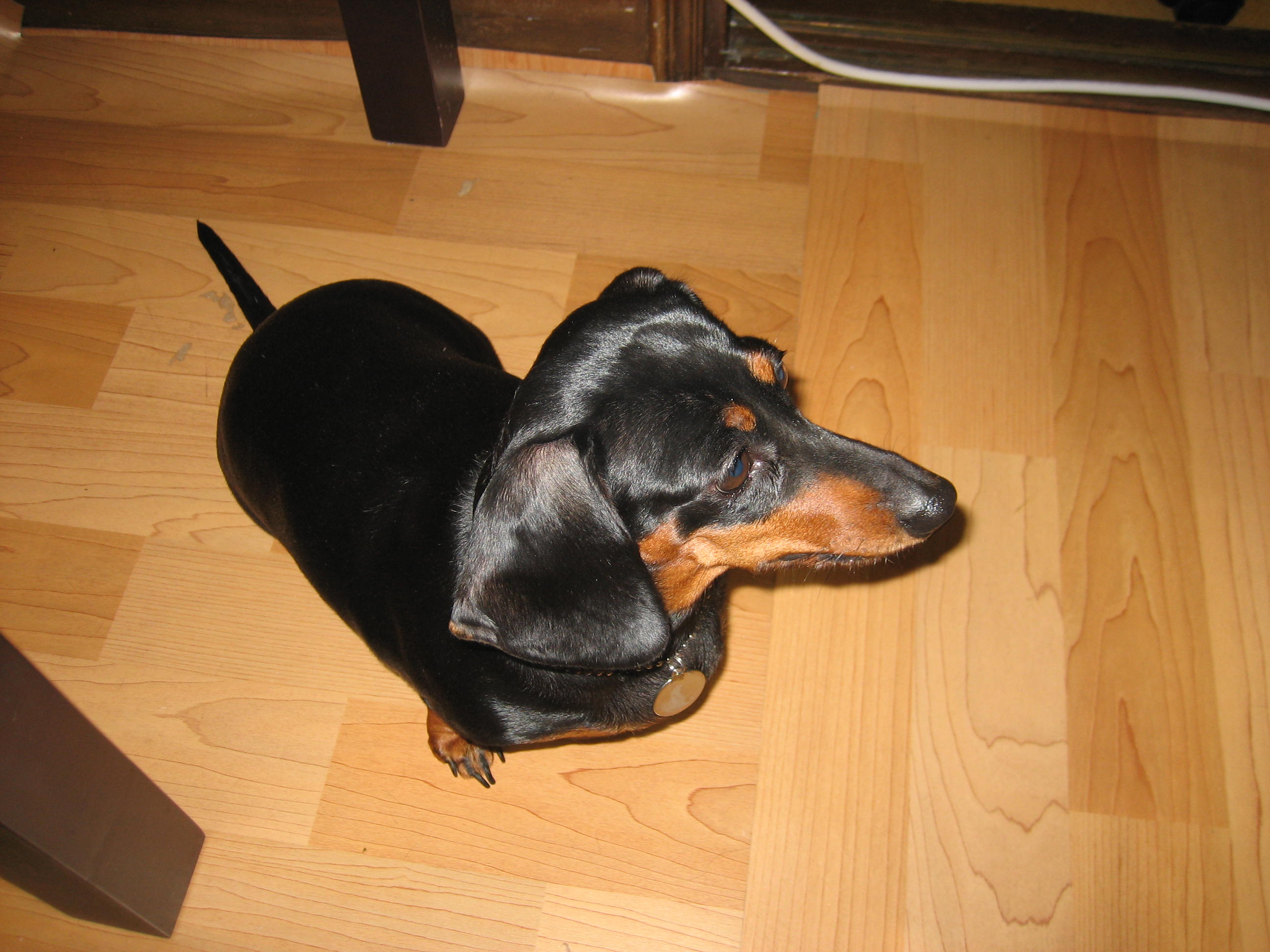 영순이 사진 올려요~