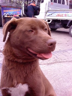 울 예삐 사진오립니다.