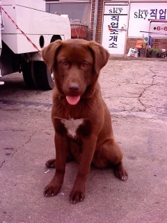 울 예삐 사진오립니다.