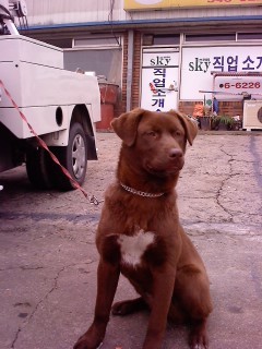 울 예삐 사진오립니다.