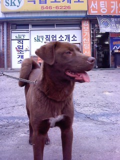 울 예삐 사진오립니다.