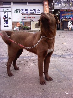 울 예삐 사진오립니다.