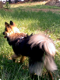 산책 중 베를린 ㅎ