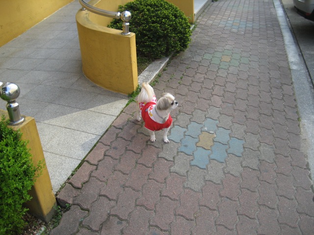 초롱 많이 보고 싶었죠