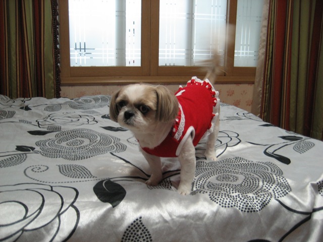 초롱 많이 보고 싶었죠