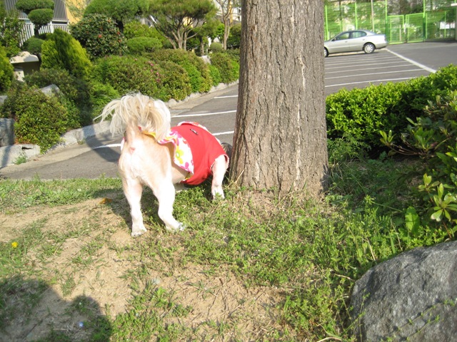 초롱 많이 보고 싶었죠