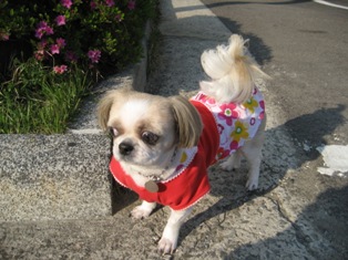 초롱 많이 보고 싶었죠