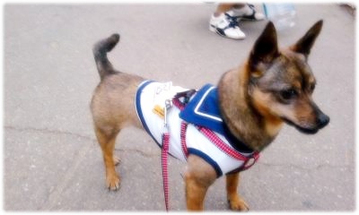 또 졸리에요 ^_^