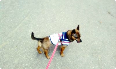 또 졸리에요 ^_^