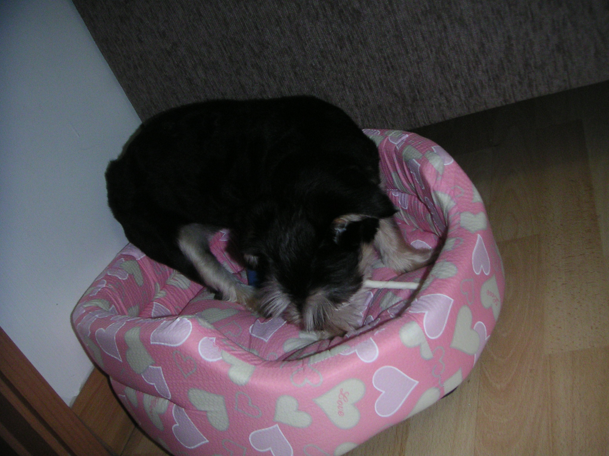 타니~ 에서 누비~ 로...