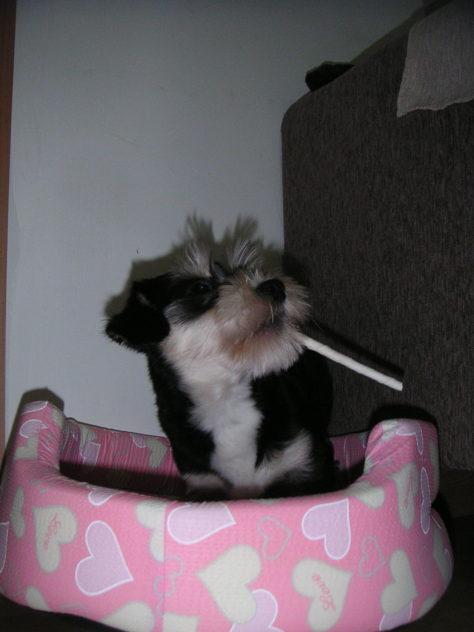 타니~ 에서 누비~ 로...