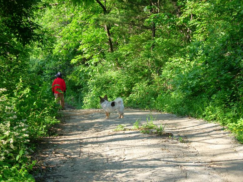 잔머리 대왕 바둑