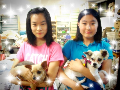 티의 뉴 패밀리