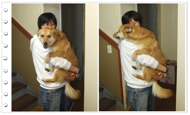 [반려동물TIP] 천둥번개치는 날이면 난리나는 우리 개...