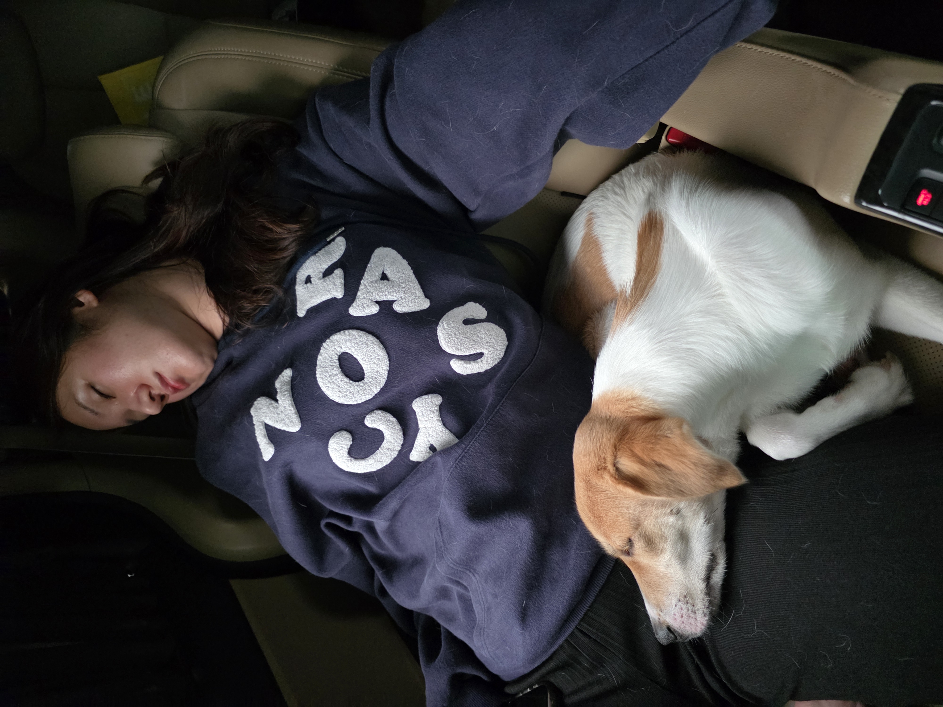 모디 3개월 추석이야기