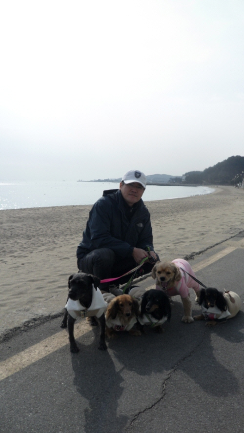 네로,슈슈,초롱이,순이들 겨울바다 산책