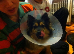 베를린 변 봤어요~