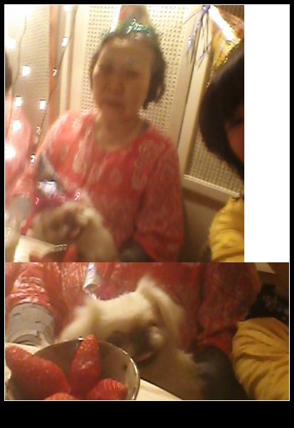 줄리엣1주년기념파티!