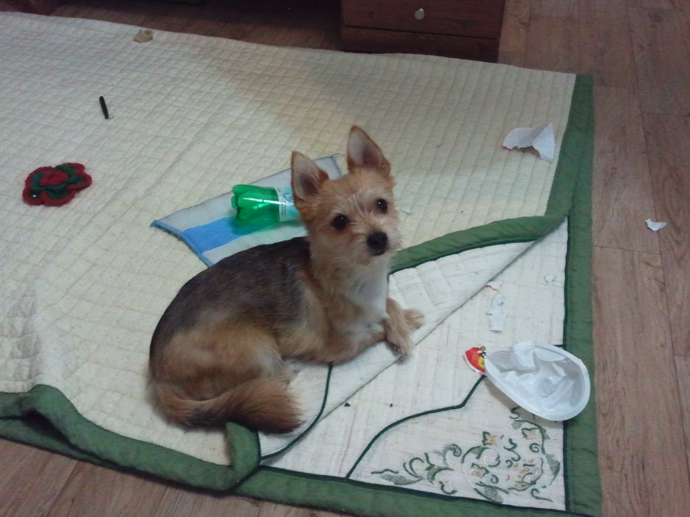 봉많형제의 겨울나기