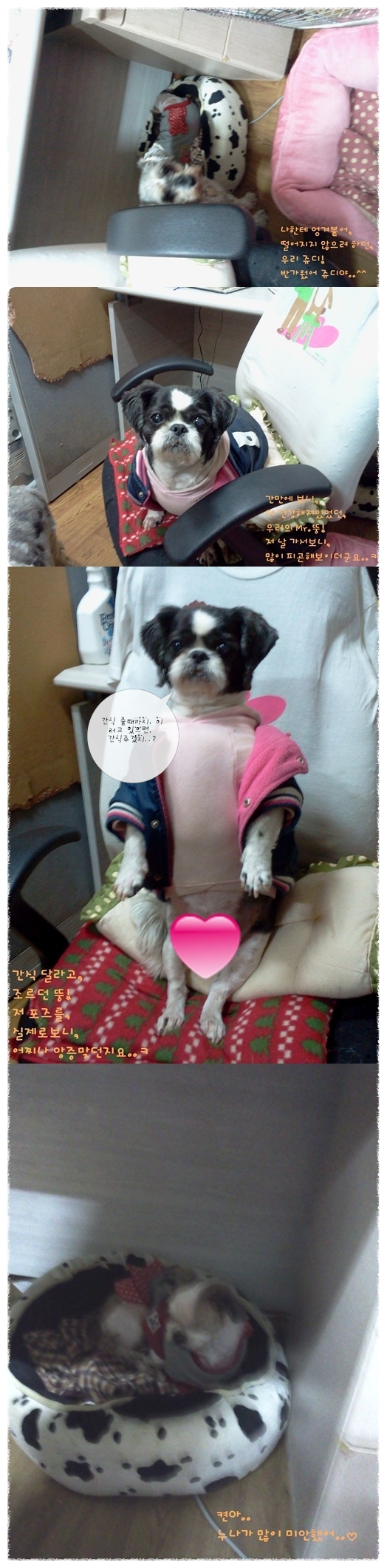 완전 늦은.. 동자련 봉사후기..^^;