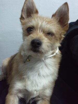 봉많형제 또 왔어요~