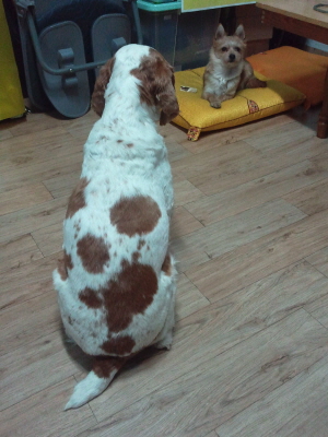 봉많형제 또 왔어요~