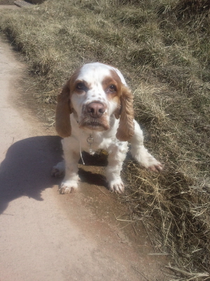 봉많형제 또 왔어요~