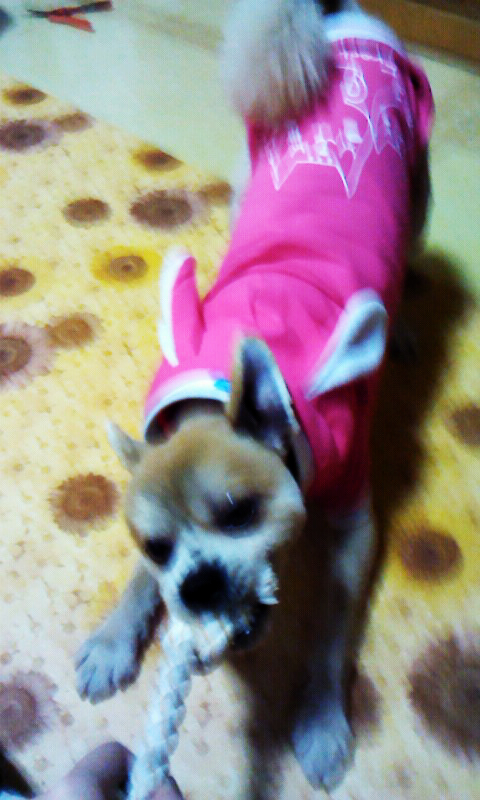 삼식이 또 왔어요^.^