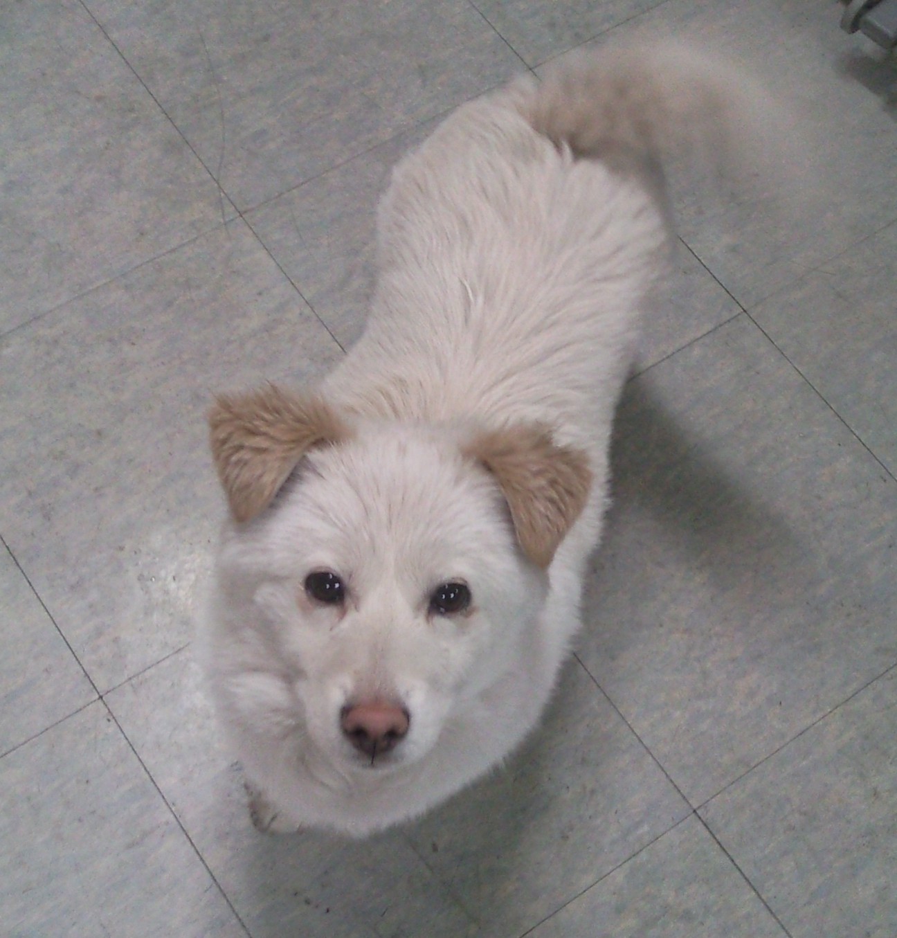 가족을 찾습니다.