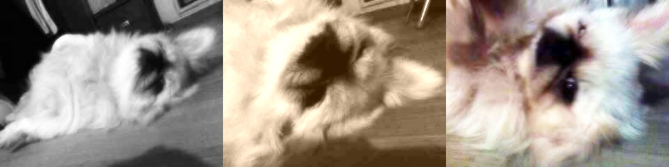 줄리엣의 전위예술