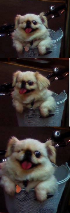 줄리엣의 전위예술