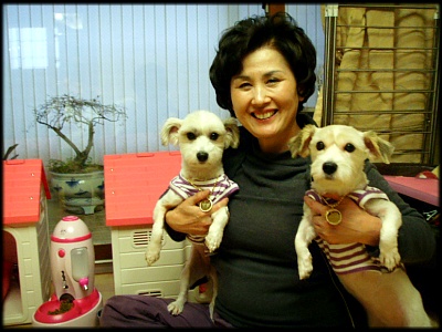 샛별 삐삐 입양후 일주일♥^^~러브하우스♡입니다