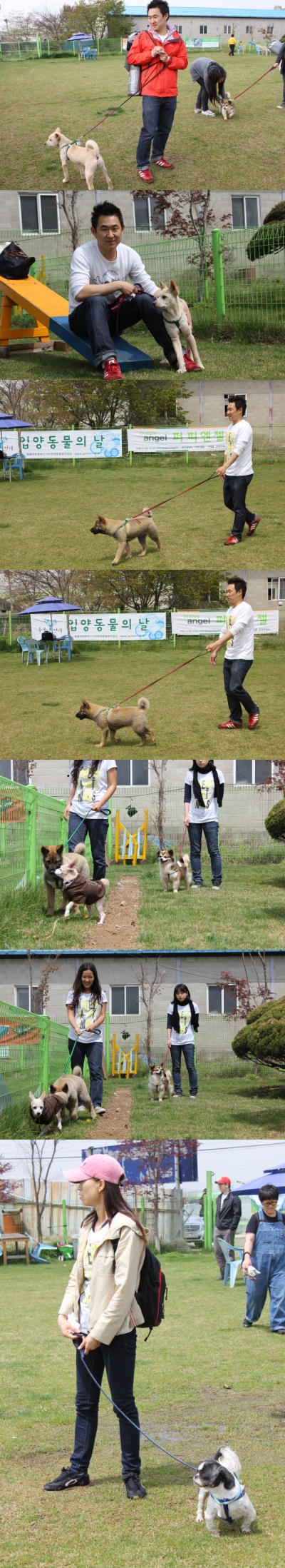 입양동물의날행사 10편 - 사무실아이들