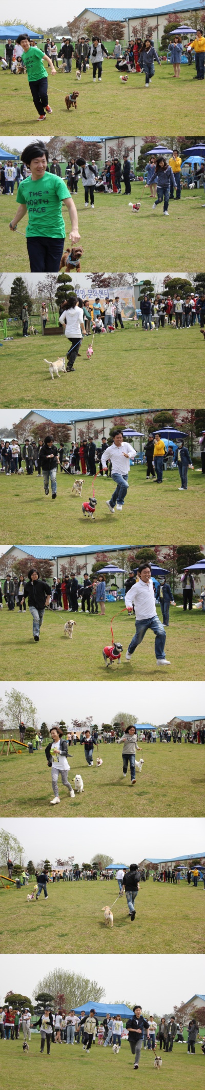 입양동물의날행사 6편 - 게임