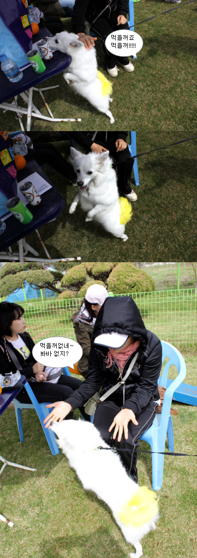 입양동물의날행사 10편 - 놀러왔어요