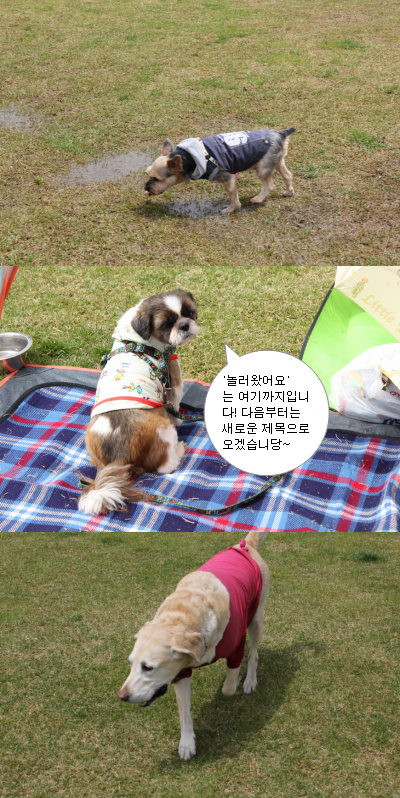 입양동물의날행사 15편 - 놀러왔어요