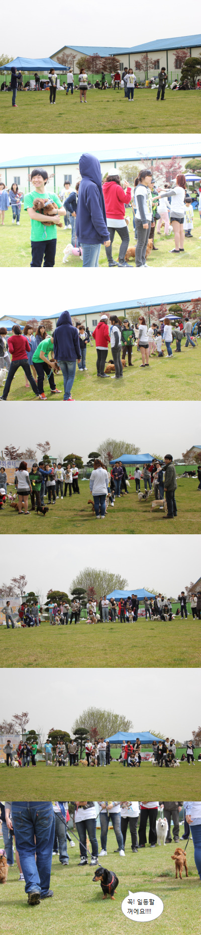 입양동물의날행사 1편 - 게임