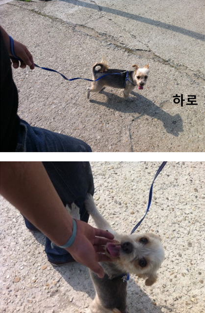 하로 (써니)예요^.^*