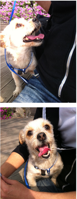 하로 (써니)예요^.^*