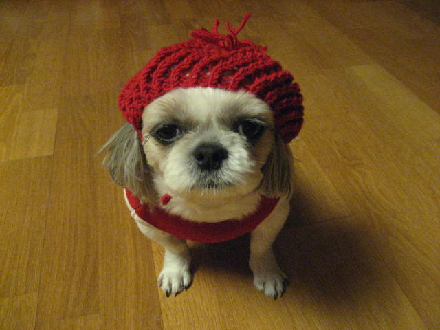 초롱모자 선물 받았어요