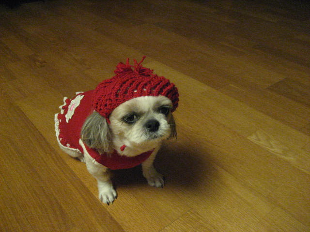 초롱모자 선물 받았어요