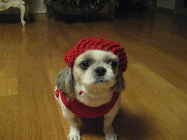 초롱모자 선물 받았어요