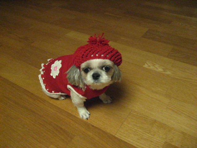 초롱모자 선물 받았어요