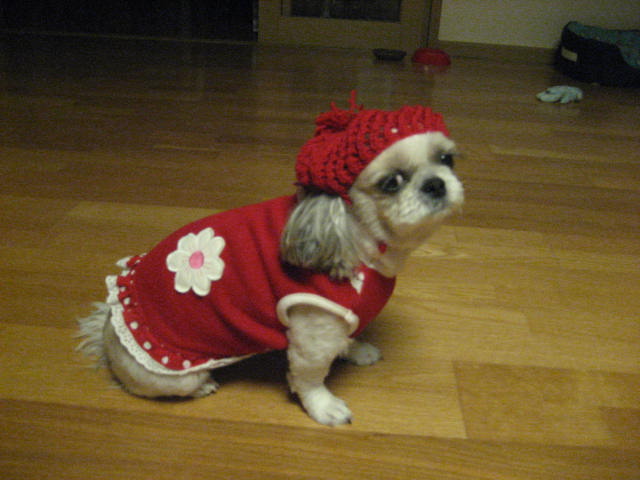 초롱모자 선물 받았어요