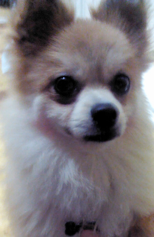 삼식이 오랜만에 왔어요ㆍ∇ㆍ